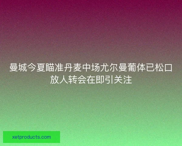 曼城今夏瞄准丹麦中场尤尔曼葡体已松口放人转会在即引关注